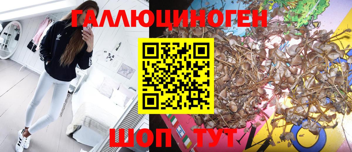 Псилоцибиновые грибы MAGIC MUSHROOMS Нерюнгри
